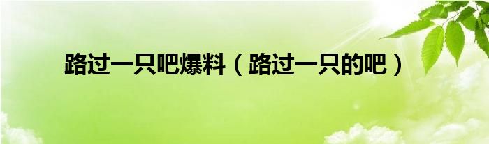 路过的一只吧爆料seventeen（路过的一只吧爆料准吗）