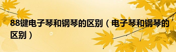 88键电子琴和钢琴的区别（88键电子琴和钢琴）