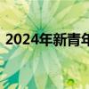 2024年新青年音乐节石家庄站演出时间安排