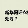 新华网评农村人居环境整治千村一面 乡愁何处寻？