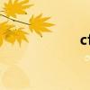 cf外挂防封（cf防t）