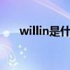willin是什么意思（willing什么意思）