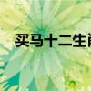 买马十二生肖表2024（买马十二生肖表）