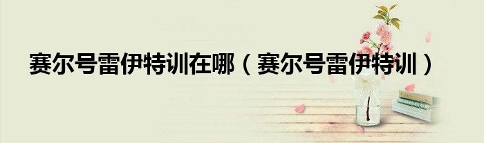 赛尔号雷伊（赛尔号雷伊特训怎么打雷神觉醒）
