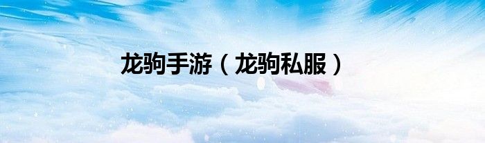 龙驹陶瓷官方网站（龙驹私服经典）