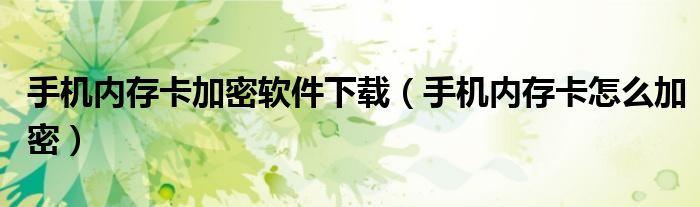 手机内存卡加密（内存卡加密工具）