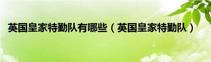 英国皇家特勤队SAS（英国皇家特勤队sas）
