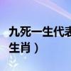 九死一生代表什么生肖啊（九死一生代表什么生肖）