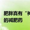 肥胖真有“神药”？临床医生：没有一劳永逸的减肥药