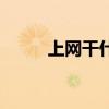 上网干什么英语（上网都干什么）