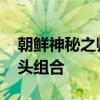 朝鲜神秘之师晋级乒乓混双决赛 对决中国莎头组合