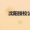 沈阳技校公办学校有哪些（沈阳技校）