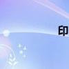 印尼主要股指下跌2%