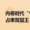 内卷时代“宁王”依旧赚得盆满钵满 全球市占率双冠王！