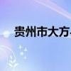 贵州市大方县邮编（贵州省大方县邮编）