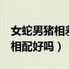 女蛇男猪相差6岁婚姻好不好（男龙女猪婚姻相配好吗）