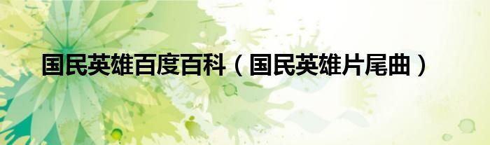国民英雄百度百科（国民英雄介绍）