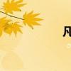 凡人微光｜指尖追光