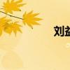 刘益素102岁（刘益素）