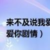 来不及说我爱你剧情简介大结局（来不及说我爱你剧情）