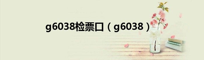 g6230深圳北几号站台（g6039深圳北检票口）