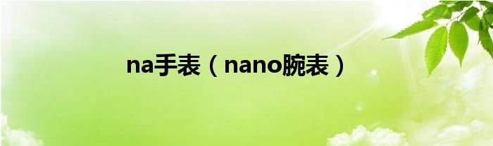 nasir手表（na手表）