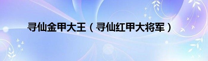 寻仙金甲大王真身图卷（寻仙金甲大王在哪里）