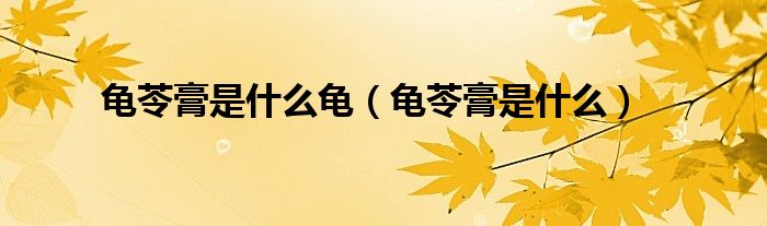 龟苓膏和龟有关系吗（龟苓膏和龟苓胶有什么区别）
