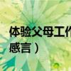 体验父母工作的感言怎么写（体验父母工作的感言）
