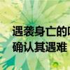 遇袭身亡的哈马斯领导人哈尼亚是谁 哈马斯确认其遇难