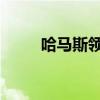 哈马斯领导人遇刺将带来哪些影响