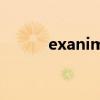 exanima技能（ex技能是什么）