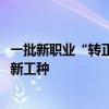 一批新职业“转正”，有你感兴趣的吗？含19个新职业28个新工种