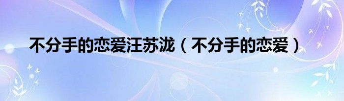 不分手的恋爱dj（歌曲不分手的恋爱）