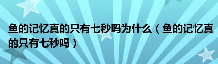 鱼的记忆是不是真的（鱼的记忆真的只有七秒吗新闻大求真）