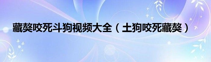 藏獒 咬死（藏獒咬死主人新闻）
