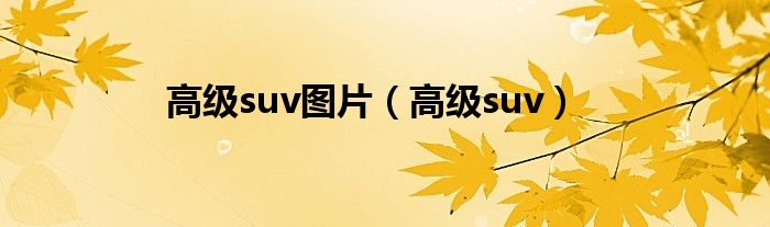 各类suv图片（高级suv纯电动汽车）