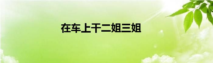 在车上干二姐三姐