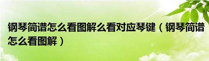 钢琴谱简谱如何看（钢琴简谱怎么看的）