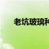 老坑玻璃种帝王绿翡翠（老坑玻璃种）