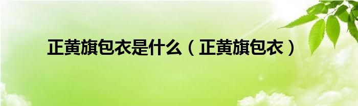 正黄旗镶黄旗怎么区别（正黄旗是干嘛的）
