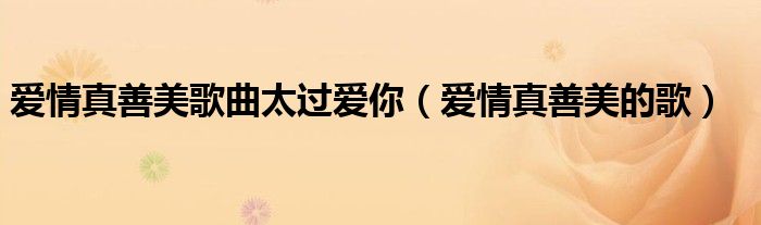 爱情真善美太过爱你（爱情真善美歌曲大全）
