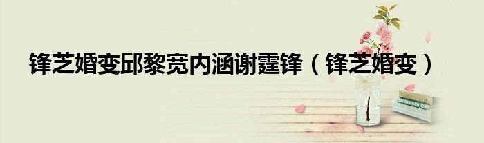 锋芝婚变张柏芝（锋芝婚变剧情介绍结局解析）