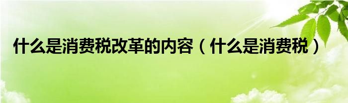改革消费税制度（消费税制改革举措）