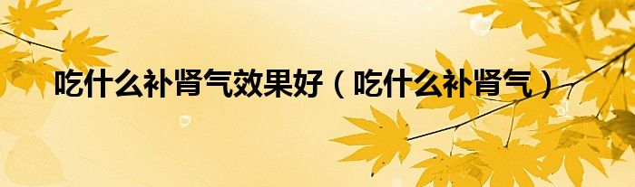 补肾气固肾气的中药（补肾气固肾气吃什么中成药）