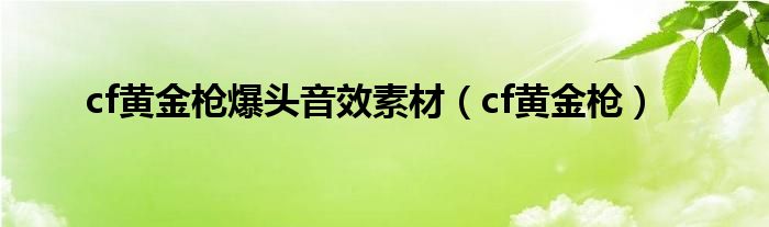 cf黄金爆头图标（cf黄金爆头音效素材）