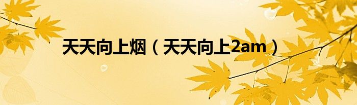 tommy赵天天（2am赵权天天向上）