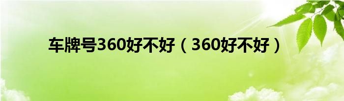 车牌号是360（车牌号360什么意思）