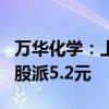 万华化学：上半年净利润同比下降4.6% 拟10股派5.2元