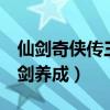 仙剑奇侠传三魔剑怎么培养（仙剑奇侠传3魔剑养成）